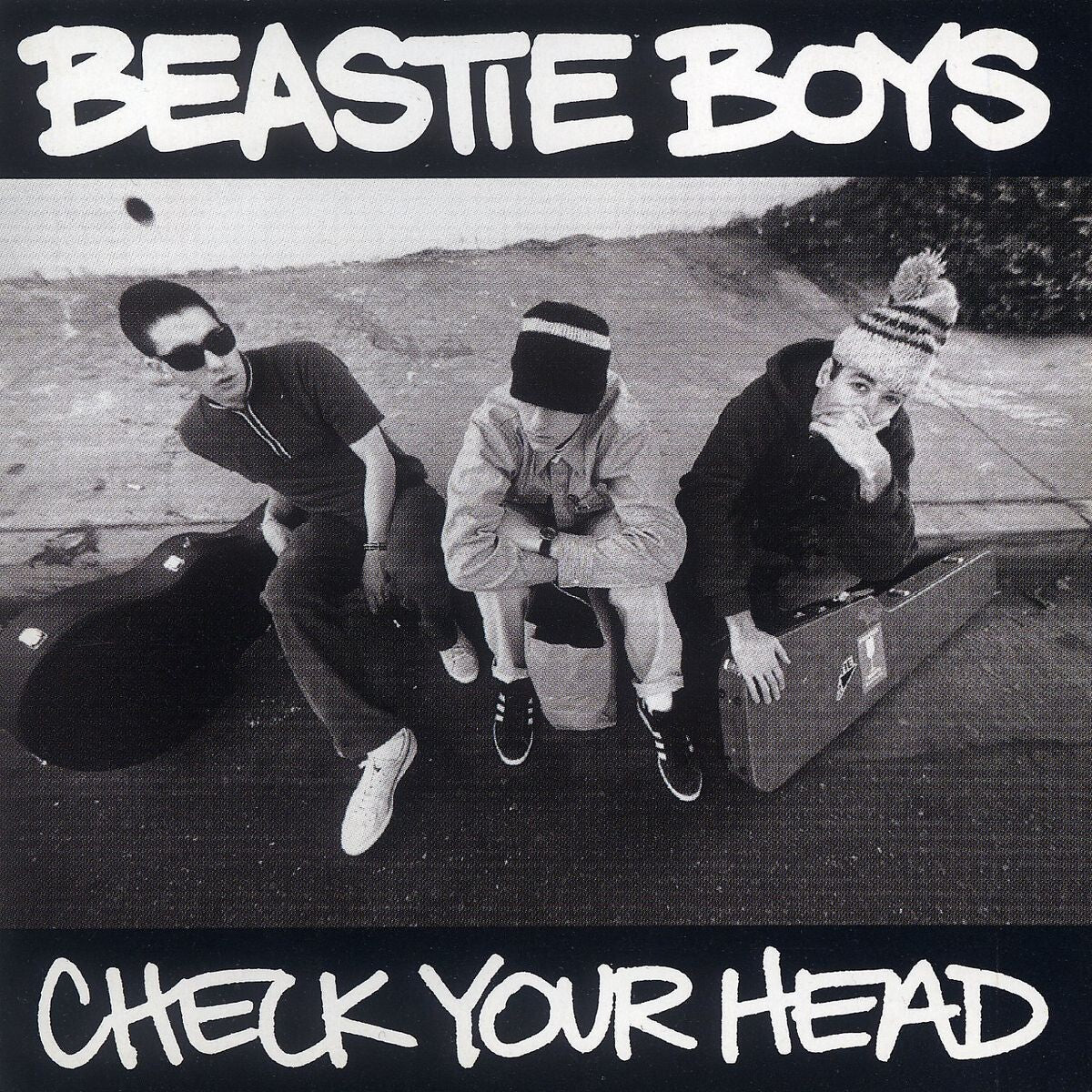 Beastie Boys Check Your Head 2LP 194567